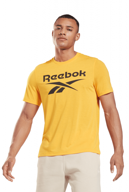 Koszulka Reebok Workout Ready Supremium Graphic - GT5759