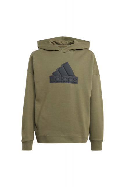 Bluza adidas Future Icons Logo Hooded Sweatshirt - IM0076